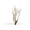 Syringa Branch Extra Charlet
