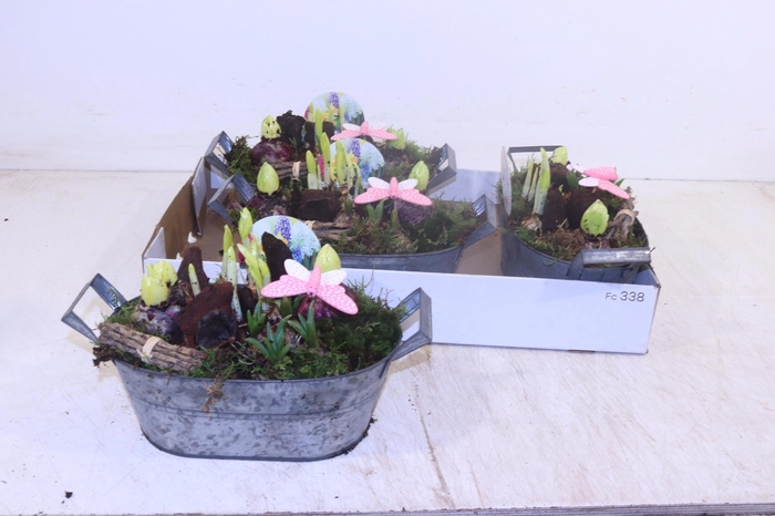 <h4>ARR BOL KNOLGEWAS</h4>