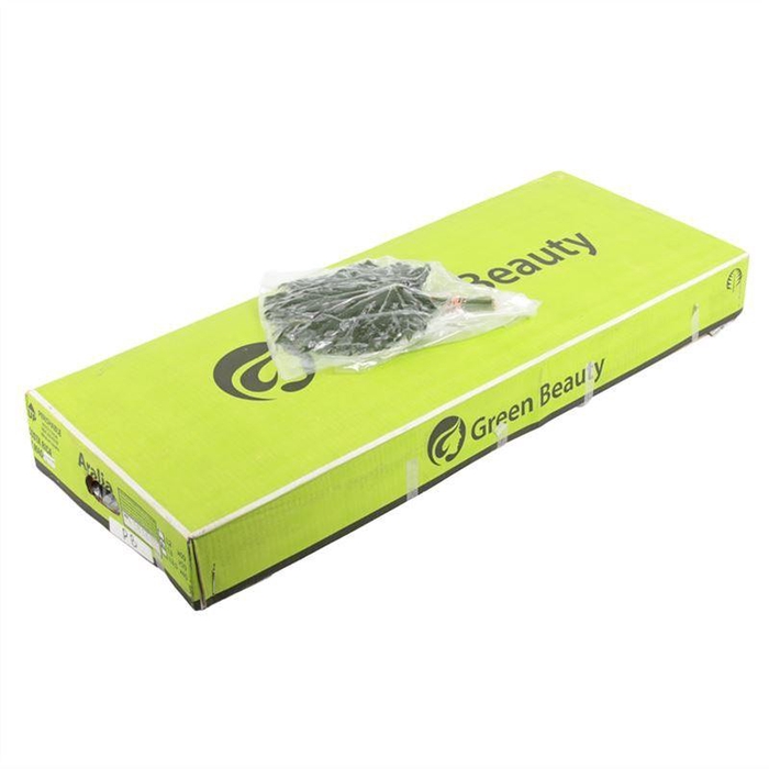 <h4>Aralia Vac Gr. Beauty Per Bos</h4>