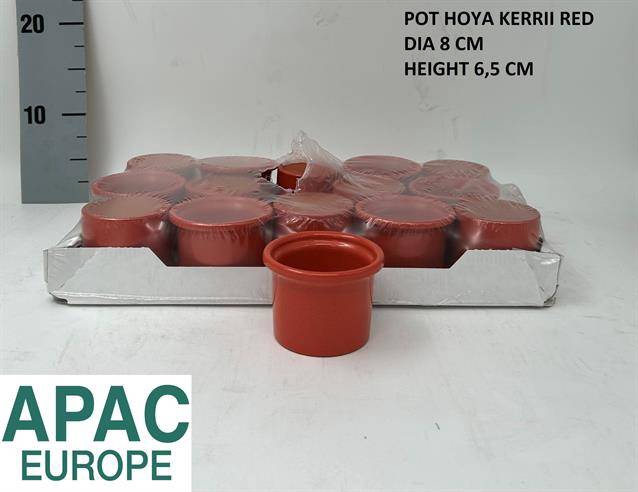 DECO POT RED P8