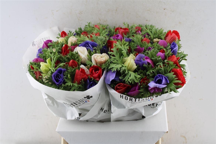 <h4>Anemone Mistral Mixed</h4>