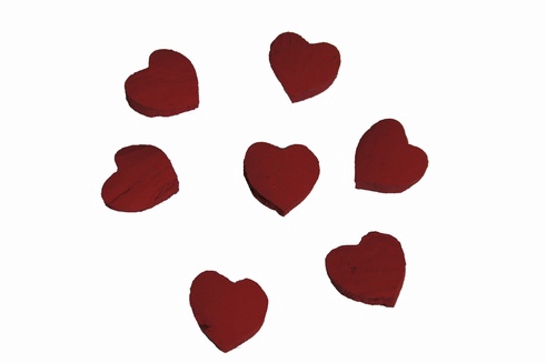 COCOSNOOT HART MINI ROOD 500GR