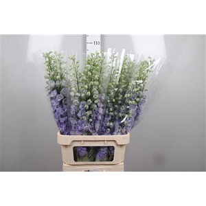 Delph Du Lavender Love