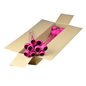 Bell Cup O/s 10pc Sb Cerise