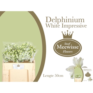 DELPH DU DEW IMPR WH