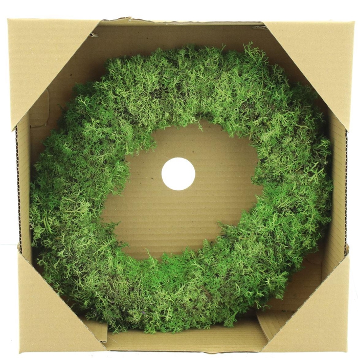 <h4>Wreath Egelmoss Light Green</h4>