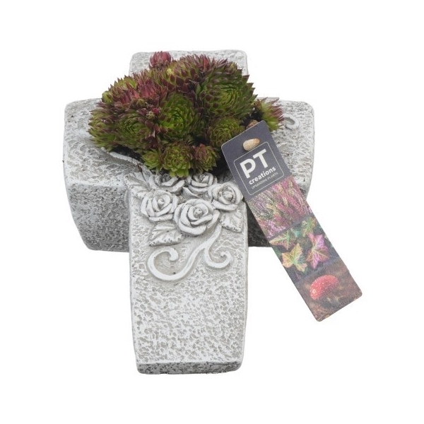 <h4>PTAH8618 Arrangement Allerheiligen in beton kruis</h4>