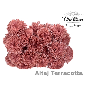 CHR T ALTAJ TERRACOTTA