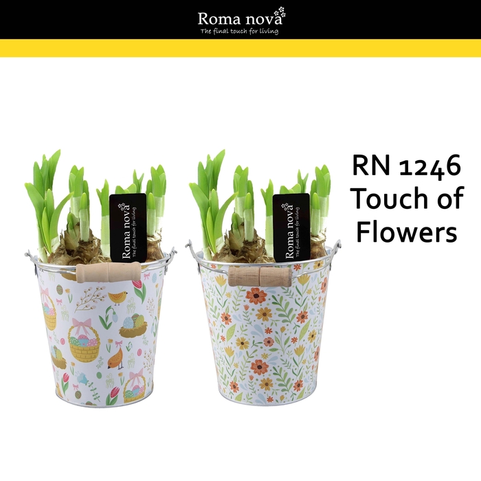 <h4>1246 - Touch of Flowers (Tete a Tete)</h4>