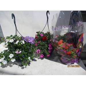 HANGING BASKETS