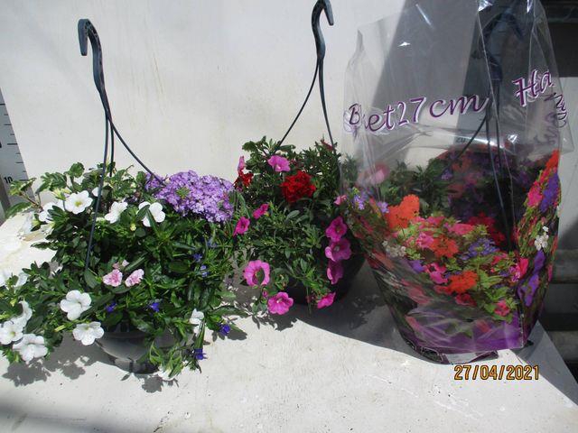 HANGING BASKETS