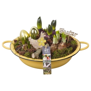 Arr.   Tuinplanten L%