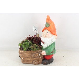 arr4 Semp JS - Kabouter met kruiwagen x2