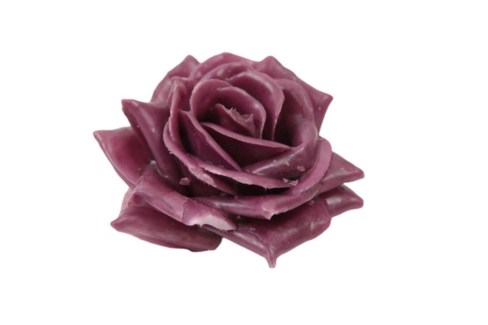Rose Wax D10