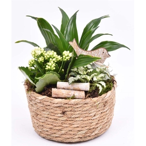 Touwmand laag 19,5cm