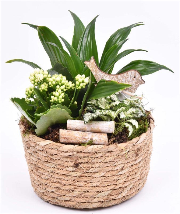 <h4>Touwmand laag 19,5cm</h4>