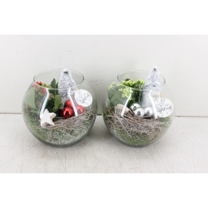 arr. PL - Glas bol gnome