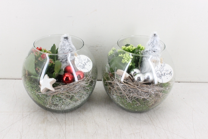 arr. PL - Glas bol gnome