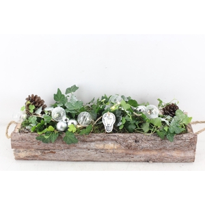 arr2 PL - Schors balk hedera zilver LED