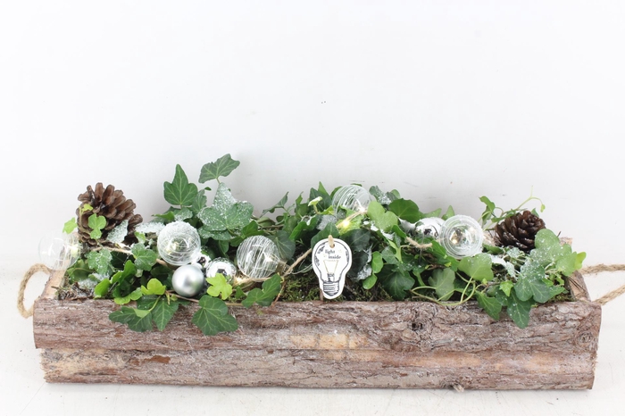 <h4>arr2 PL - Schors balk hedera zilver LED</h4>