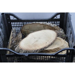 Deco Boomschijf Ovaal 25 Cm