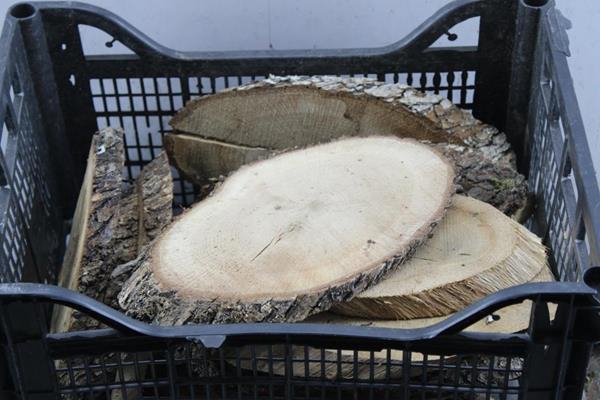 <h4>Deco Boomschijf Ovaal 25 Cm</h4>