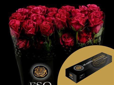 <h4>R Gr Roseberry Box</h4>