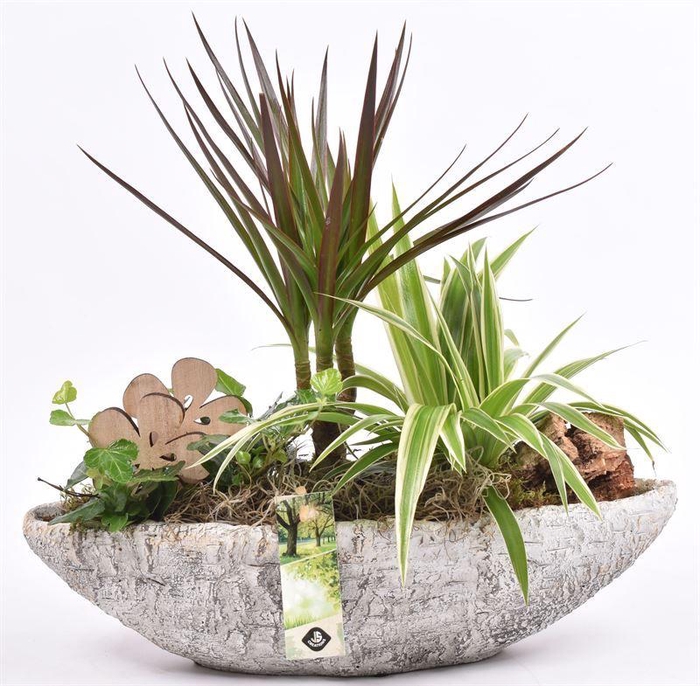 <h4>Cement kano old look 36x13cm</h4>