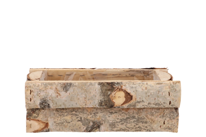 Nature Birch Rectangle 31x14x11cm