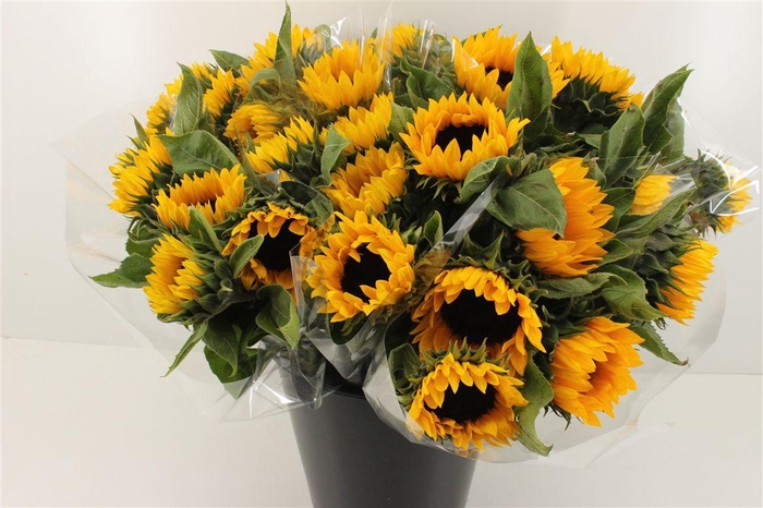 <h4>Boeket Mono Zonnebloem</h4>