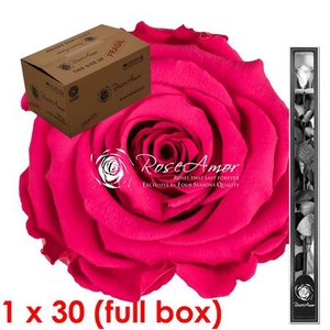 60cm Stem Pin03 Bulk