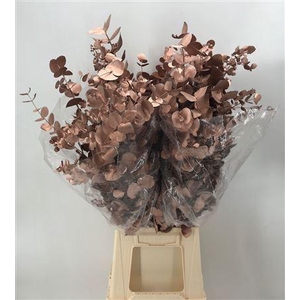 Col Cinerea Champagne Metal