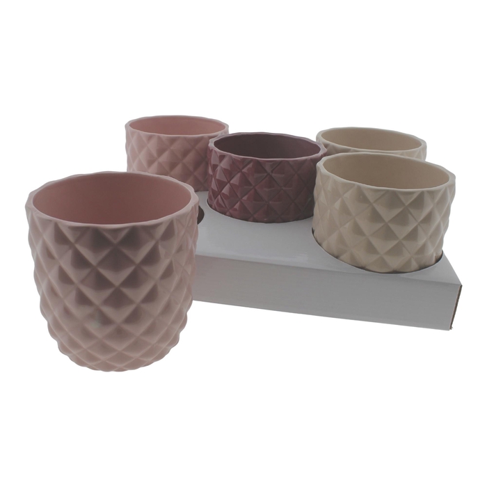 <h4>HUIS EN TUINDECO H%</h4>