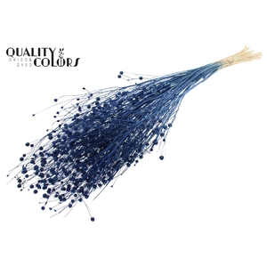 Lino Vlas per bunch in poly Intense Blue