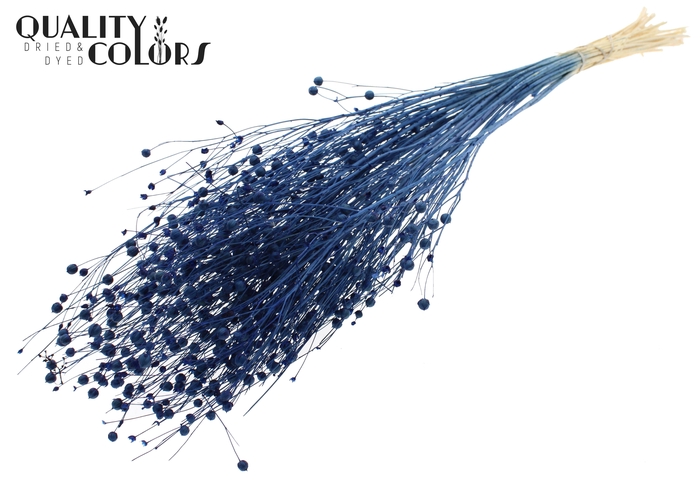 <h4>Lino Vlas per bunch in poly Intense Blue</h4>