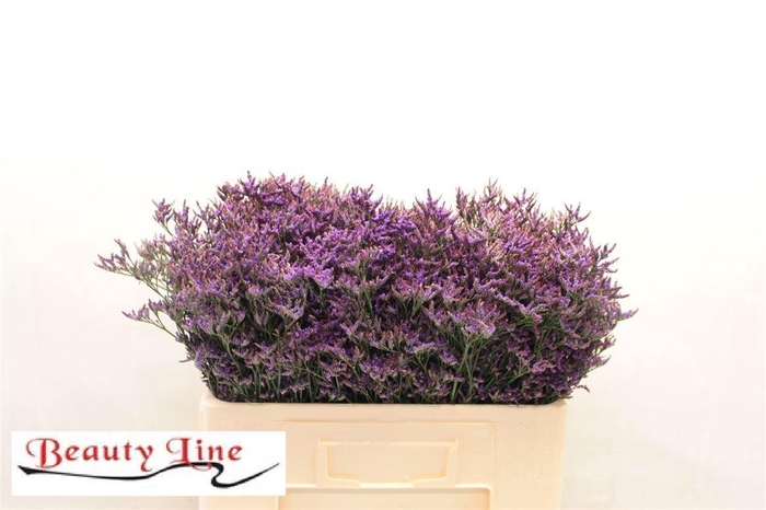 <h4>LIMONIUM SAFORA DARK BLUE 16GR</h4>