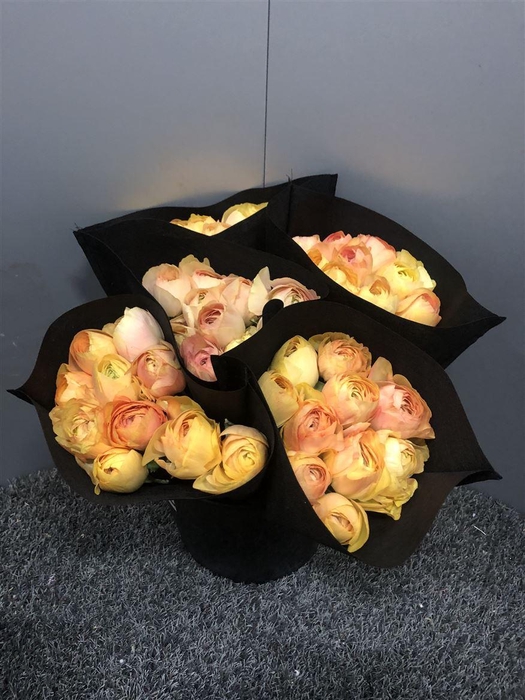 <h4>Ran Suc Gran Pastel Sup</h4>