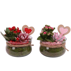 Valentine Arr. Indoor Glass Bowl with Rope Ø16cm 2PP