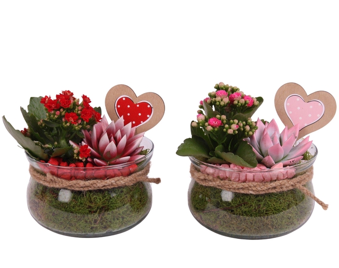 <h4>Valentine Arr. Indoor Glass Bowl with Rope Ø16cm 2PP</h4>