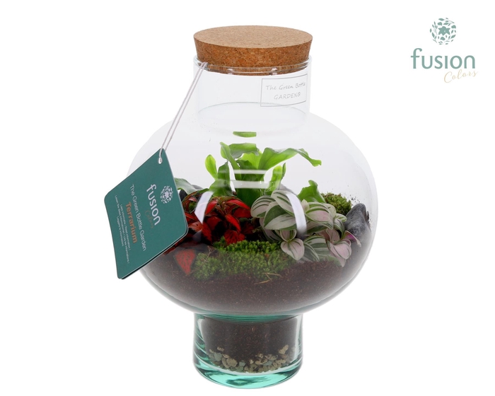 <h4>Green Bottle Laura Small met Terrarium arrangement 3pp</h4>