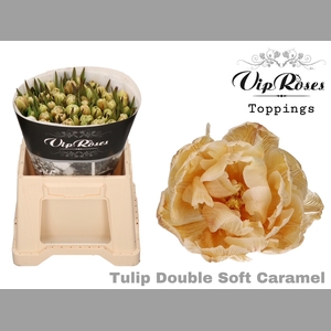 TU DU DOUBLE SOFT CARAMEL