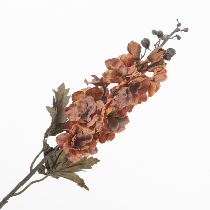 <h4>Delphinium Orange FL440377ORA</h4>