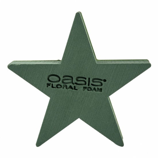 <h4>Oasis Bioline Star 30x30cm</h4>