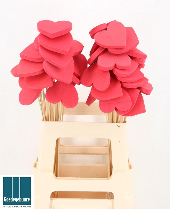 <h4>HARTJE OP STOK H%</h4>