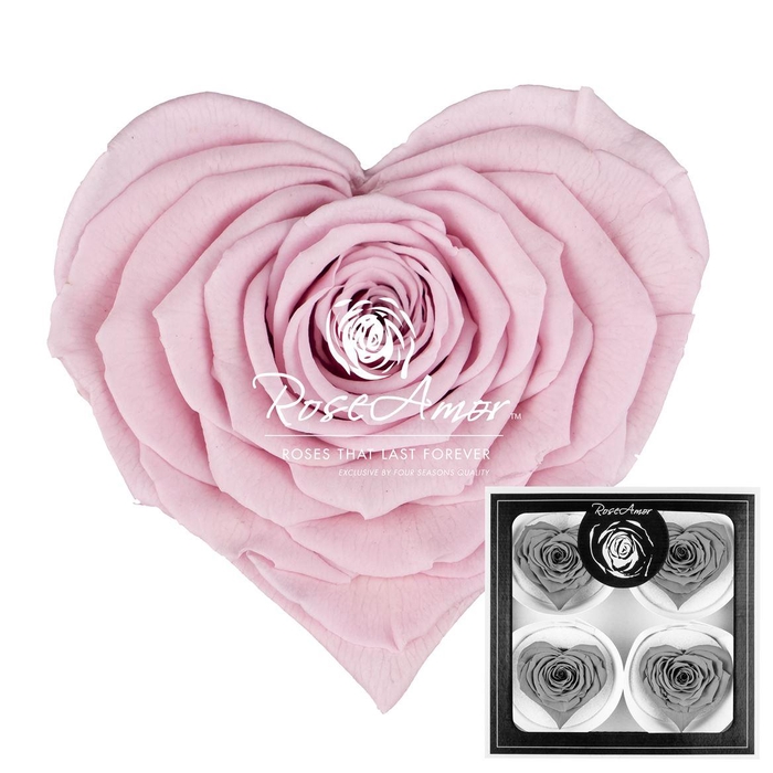 <h4>Corazon Bella Pin04</h4>