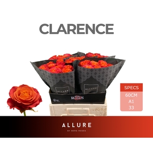 R GR CLARENCE+ ALLURE Allure Specials