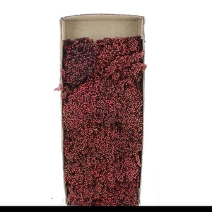 DRIED PEPPER BERRIES BORDEAUX