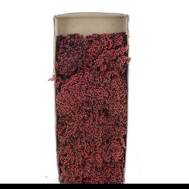 <h4>DRIED PEPPER BERRIES BORDEAUX</h4>