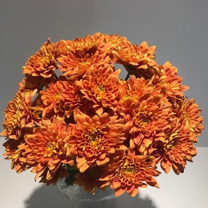 Chr Spray Orange Bartoli