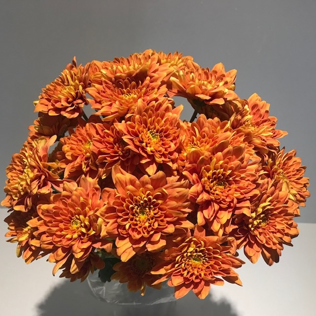 Chr Spray Orange Bartoli